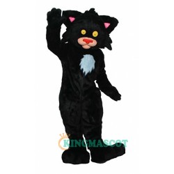Bad Kitty Uniform, Bad Kitty Mascot Costume