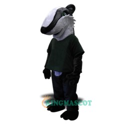 Badger Uniform, Badger Mascot Costume