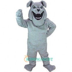 Barky the Bulldog Uniform, Barky the Bulldog Mascot Costume