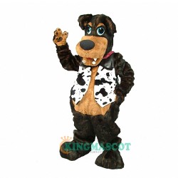 Bart T. Bear Uniform, Bart T. Bear Mascot Costume