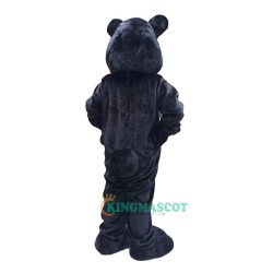 Bear Cartoon Uniform, Bear Cartoon Mascot Costume