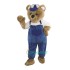 Cute Bear Uniform circus, Cute Bear Mascot Costume circus