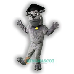 Belleview Bulldog Uniform, Belleview Bulldog Mascot Costume