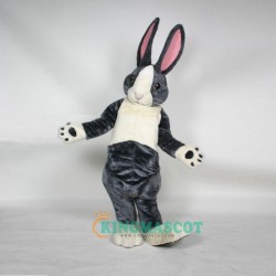 Bernie Rabbit Uniform, Bernie Rabbit Mascot Costume