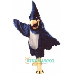 Big Blue Jay Uniform, Big Blue Jay Mascot Costume