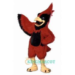 Big Red Cardinal Uniform, Big Red Cardinal Mascot Costume