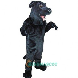 Black Lab Dog Uniform, Black Lab Dog Mascot Costume