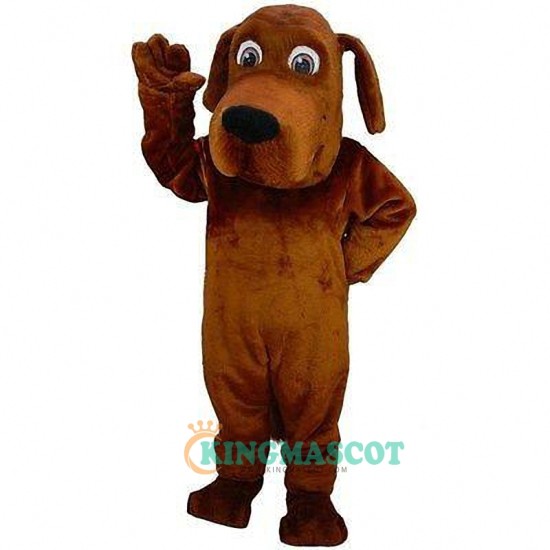Bloodhound Uniform, Bloodhound Mascot Costume