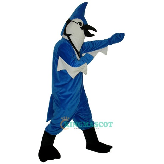 Blue Bird Uniform, Blue Bird Mascot Costume