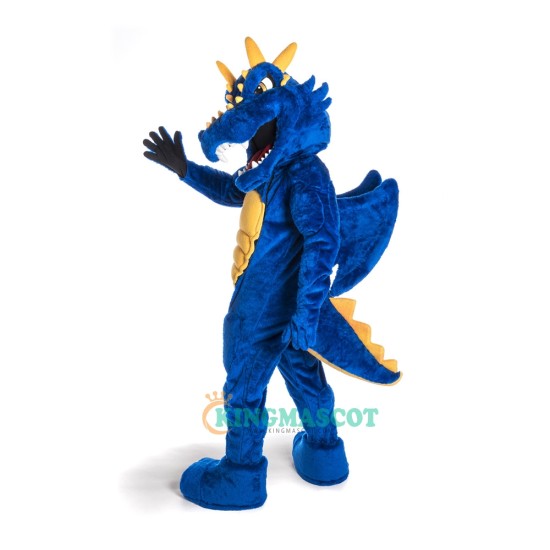 Blue Dragon Handsome Uniform, Blue Dragon Handsome Mascot Costume