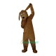 Brown Dog Cartoon Uniform, Brown Dog Cartoon Mascot Costume