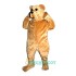 Bruce Bear Uniform, Bruce Bear Mascot Costume