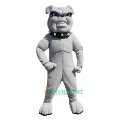 Bull Dog Uniform, Bull Dog Mascot Costume