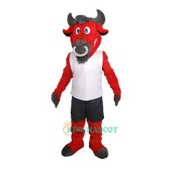 Red Bull Uniform, Red Bull Mascot Costume