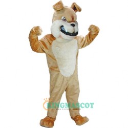 Bulldog Uniform, Bulldog Mascot Costume