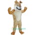 Bulldog Uniform, Bulldog Mascot Costume