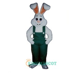 Bunny Boy Uniform, Bunny Boy Mascot Costume