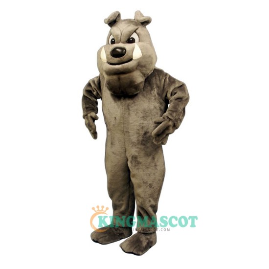 Buster Bulldog Uniform, Buster Bulldog Mascot Costume