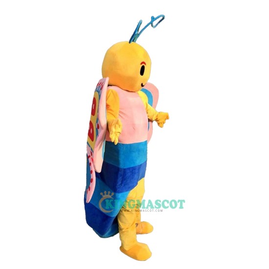 Butterfly Cartoon Uniform, Butterfly Cartoon Mascot Costume