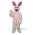 Bunny Uniform, Bunny Mascot Costume