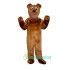 Bear Uniform, Bear Mascot Costume