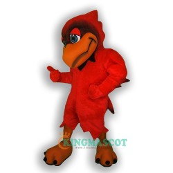 Cardinal Uniform, Cardinal Mascot Costume