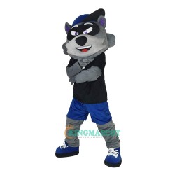 Cartoon Raccoon Uniform, Cartoon Raccoon Mascot Costume
