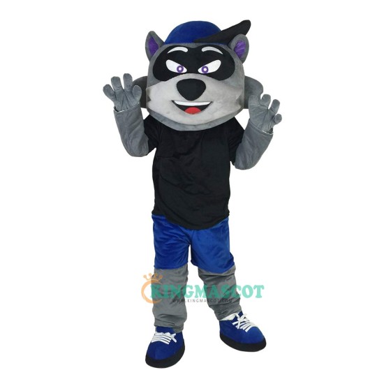 Cartoon Raccoon Uniform, Cartoon Raccoon Mascot Costume