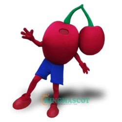Cherry Uniform, Cherry Mascot Costume