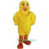 Chick Uniform, Chick Mascot Costume