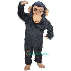 Chimp Uniform, Chimp Mascot Costume