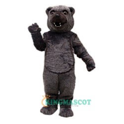 Cocomo Bear Uniform, Cocomo Bear Mascot Costume