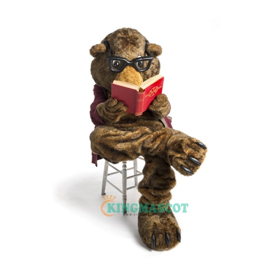 College Bear Uniform, College Bear Mascot Costume