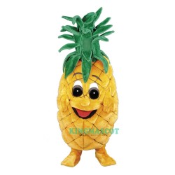 Pineapple Uniform, Pineapple Mascot Costume