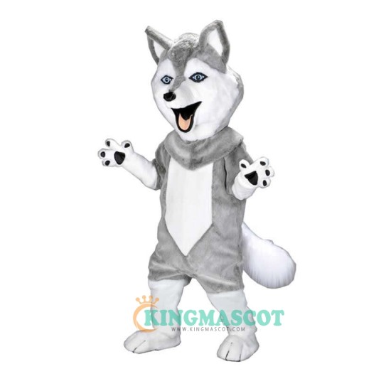 Grey Power Husky Uniform, Grey Power Husky Mascot Costume