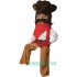 Cowboy Uniform, Cowboy Mascot Costume