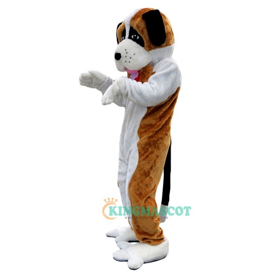 Doctor Dog Uniform, Doctor Dog Mascot Costume