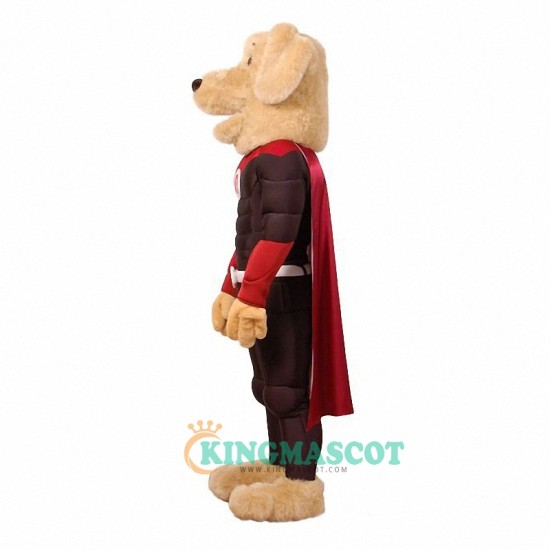Dog retriever Uniform, Dog retriever Mascot Costume