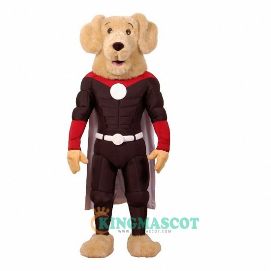 Dog retriever Uniform, Dog retriever Mascot Costume