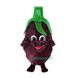 Eggplant Uniform, Eggplant Mascot Costume