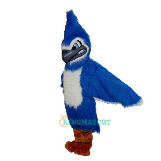 Blue Jay Uniform, Fierce Blue Jay Mascot Costume