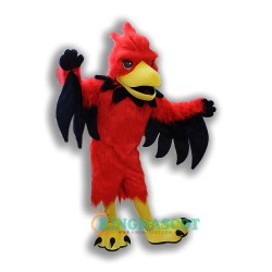 Firebird Uniform, Firebird Mascot Costume