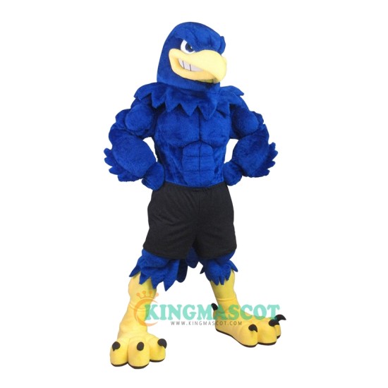 Handsome Power Falcon Uniform, Handsome Power Falcon Mascot Costume