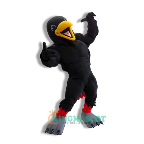Raven Uniform, Happy Raven Mascot Costume