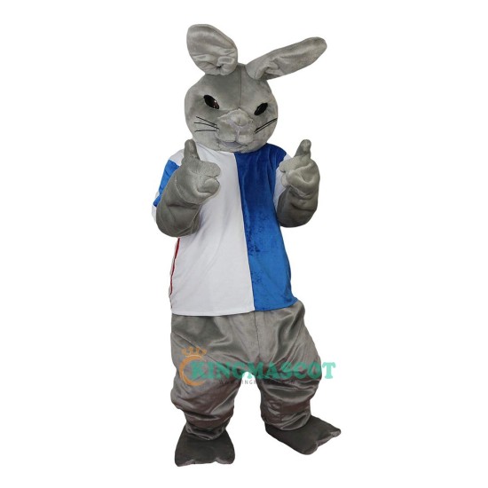 Gray Rabbit Cartoon Uniform, Gray Rabbit Cartoon Mascot Costume