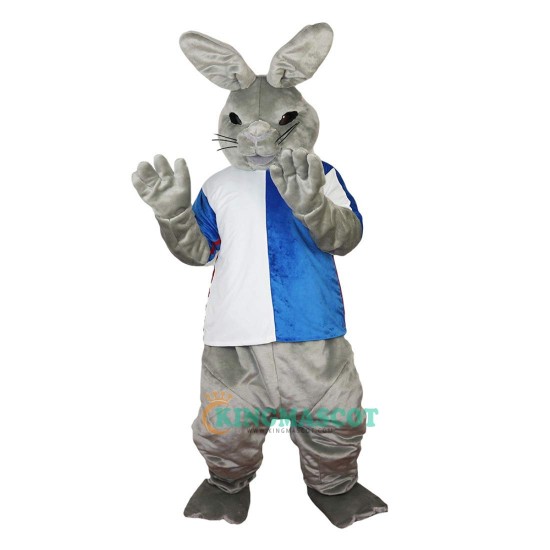 Gray Rabbit Cartoon Uniform, Gray Rabbit Cartoon Mascot Costume