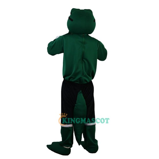 Green Crocodile Uniform, Green Crocodile Mascot Costume