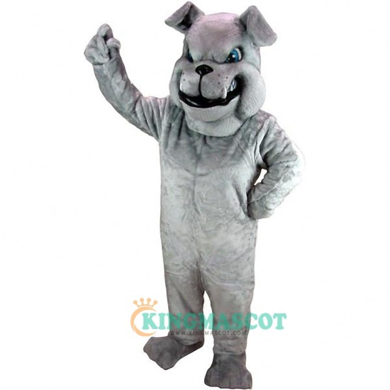 Grey Bulldog Uniform, Grey Bulldog Mascot Costume