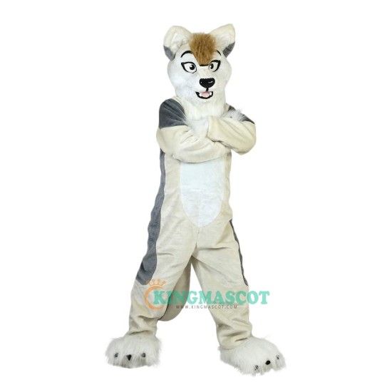 Grey Fox Dog Husky Cartoon Uniform, Grey Fox Dog Husky Cartoon Mascot Costume