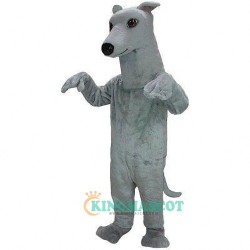 Greyhound Uniform, Greyhound Mascot Costume